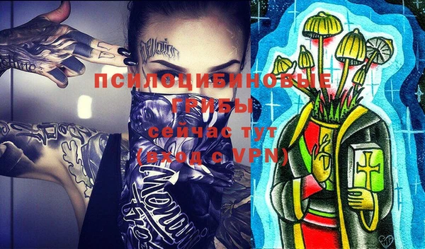 молекула духа Гусь-Хрустальный
